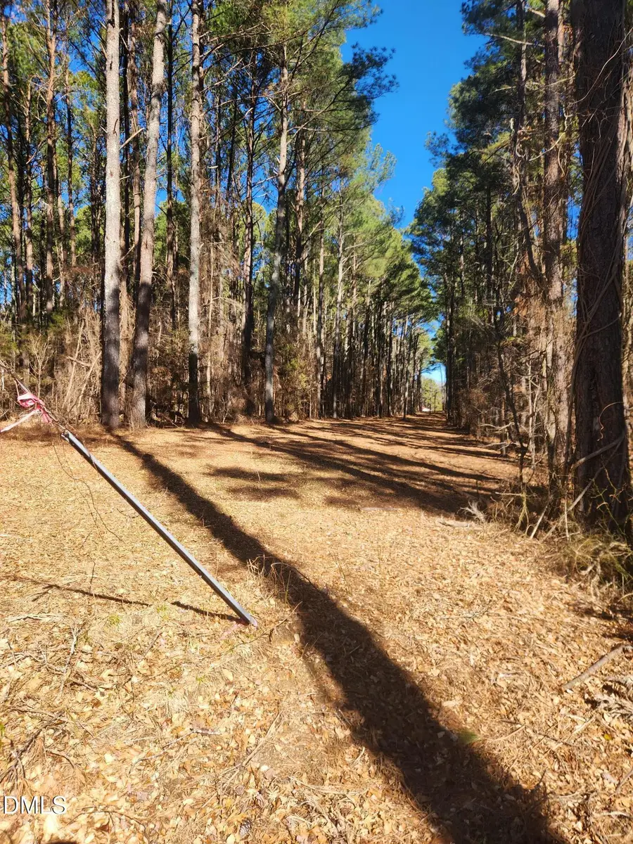 174 Solomon Worley Drive, Moncure, NC 27559 - #2