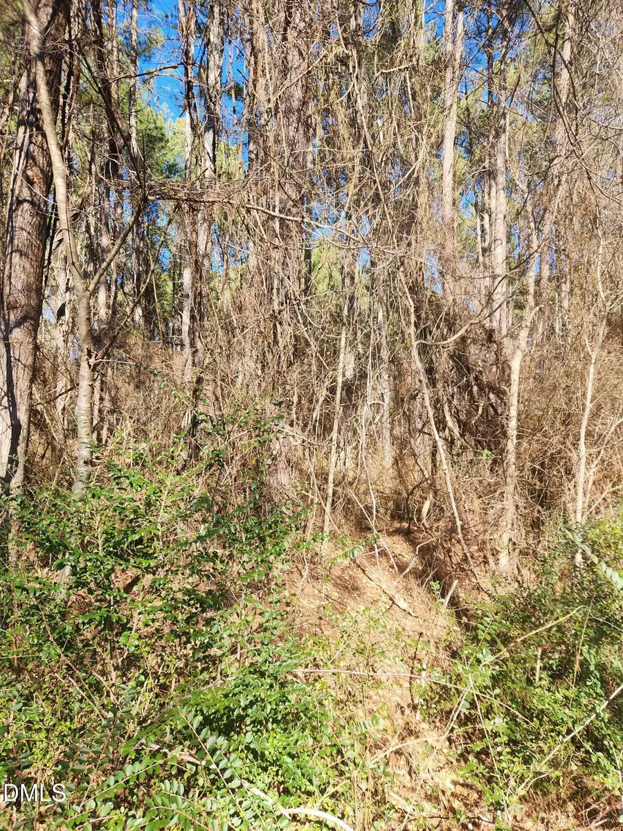 174 Solomon Worley Drive, Moncure, NC 27559 - #3