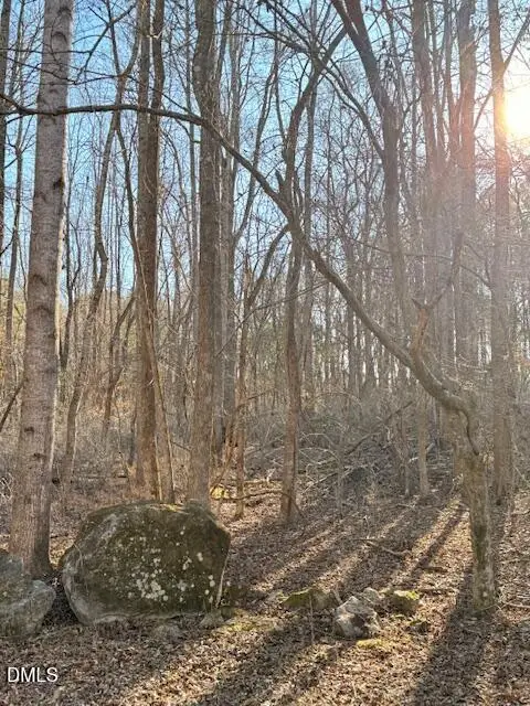 578 Nicks Bend W, Pittsboro, NC 27312 - #2