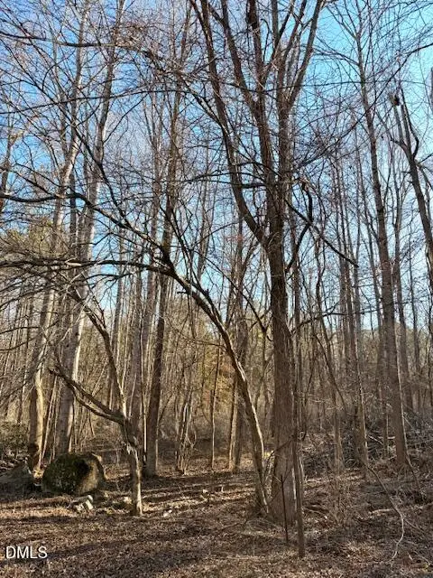 578 Nicks Bend W, Pittsboro, NC 27312 - #3