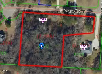 205 Teresa Court, Angier, NC 27501 - #1