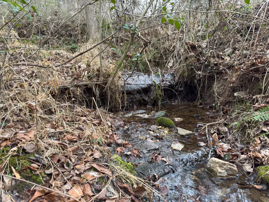 00 Mt Pleasant Church Road, Manson, NC 27553 - #2