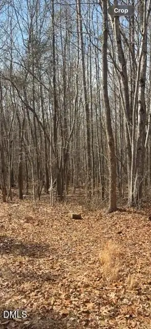 321 Greentree Lane, Siler City, NC 27344 - #2