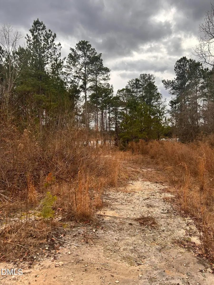 198 Old County Line Road, Cameron, NC 28326 - #3