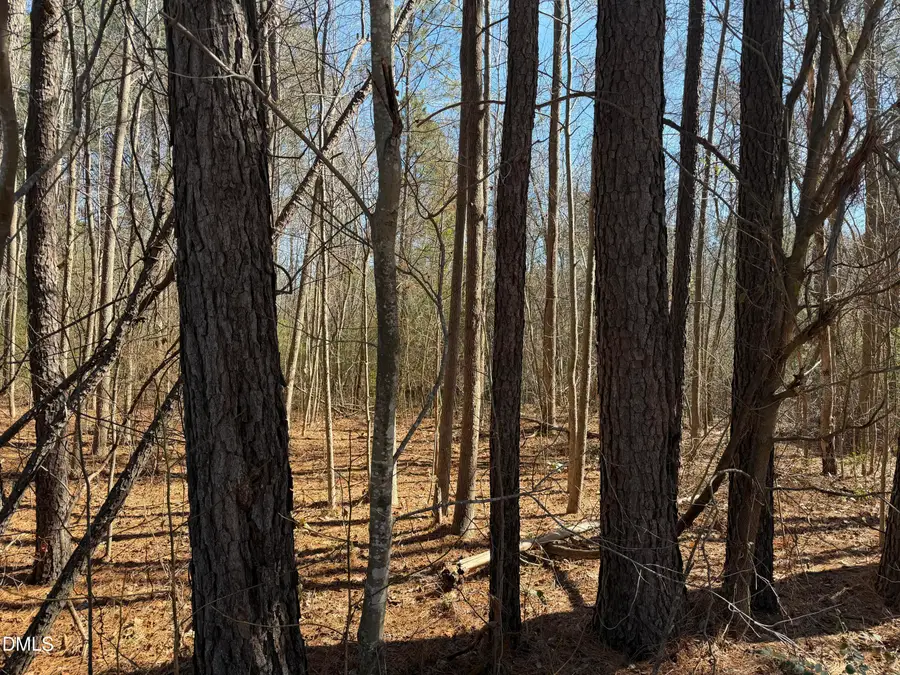 0 Rhodes Road, Apex, NC 27539 - #2