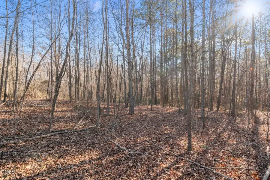 00 Leaflet Church Road, Broadway, NC 27505 - #2