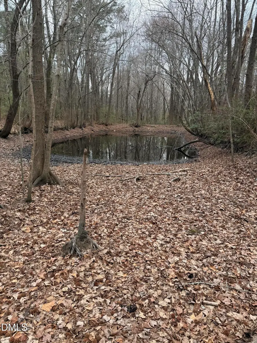 167 David Road, Wendell, NC 27591 - #2