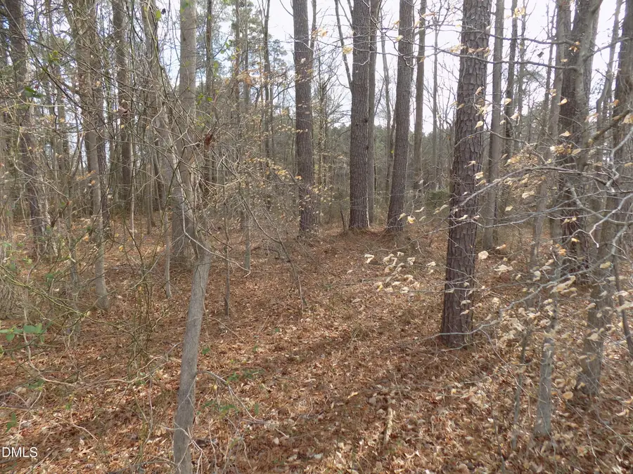 196 Trinity Church Road, Louisburg, NC 27549 - #3