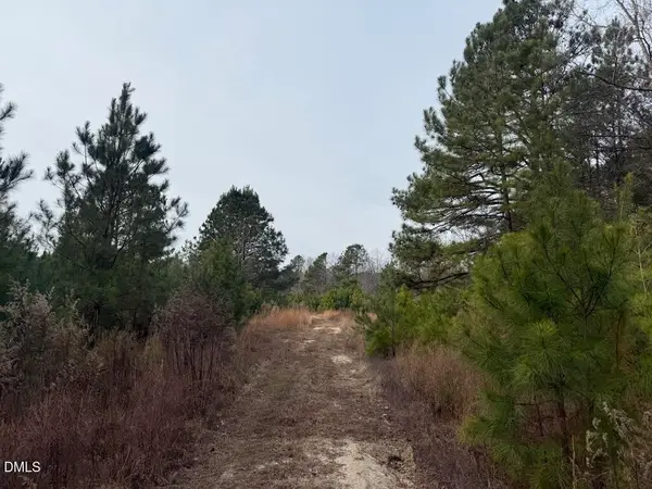 0 Murphy Road, Youngsville, NC 27596