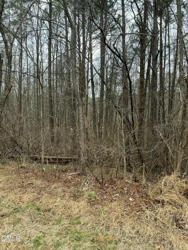 92 Lot Haynoke Drive, Graham, NC 27253