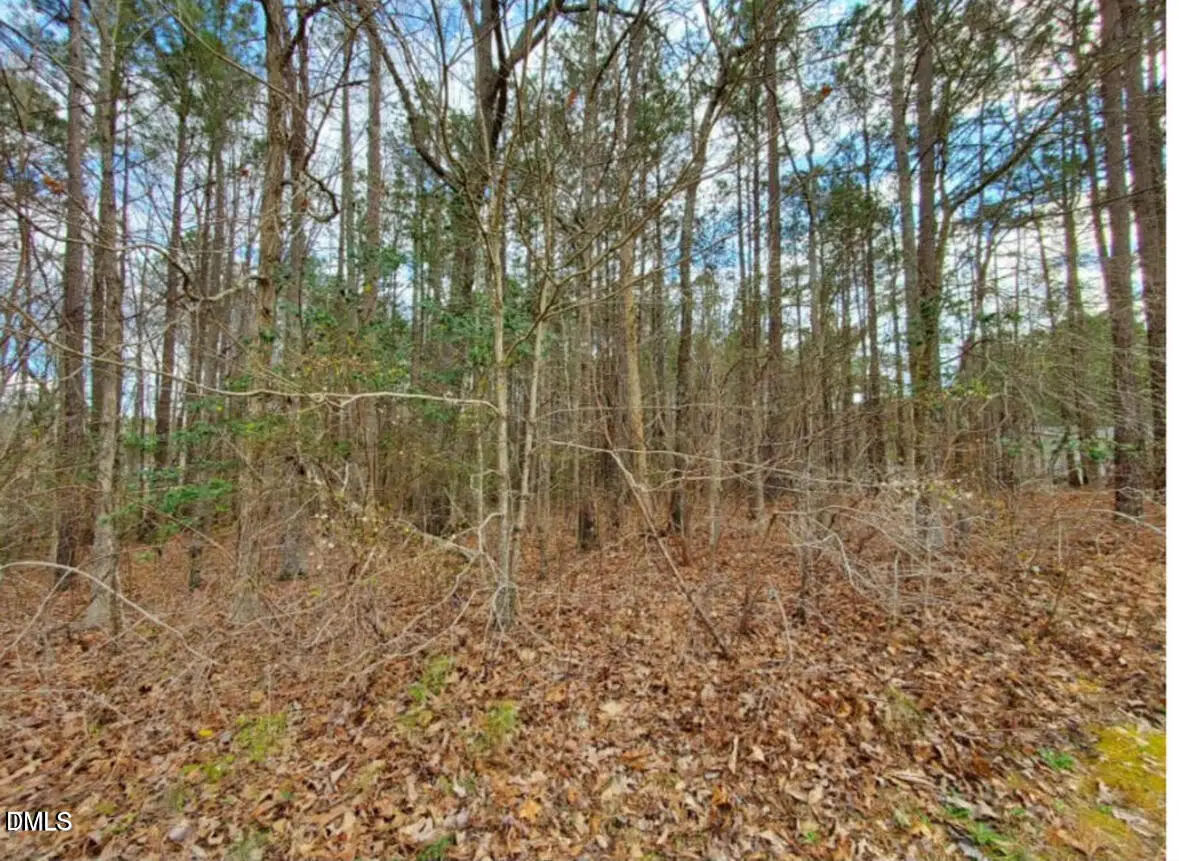 195 Owl Drive, Youngsville, NC 27596 - #1