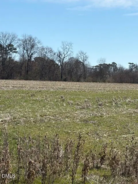 1292 Clayhole, Dunn, NC 28334 - #3