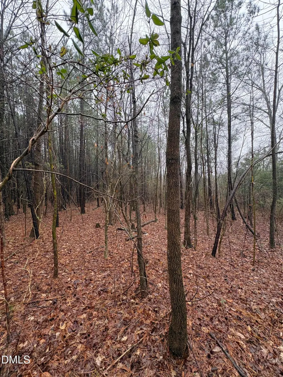 0 Glosson Road, Siler City, NC 27344 - #2