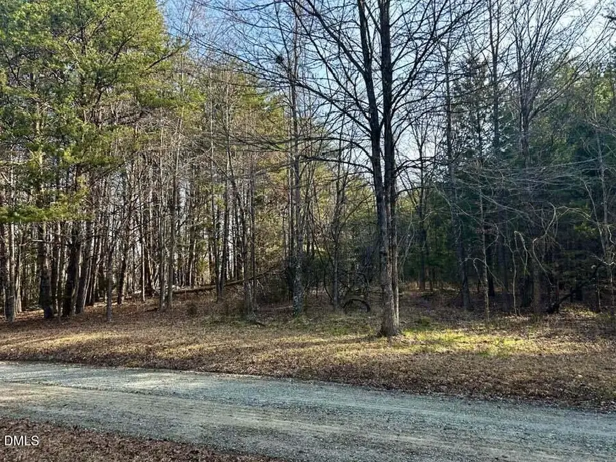 11.05 Acre Elmore Road, Leasburg, NC 27291 - #3