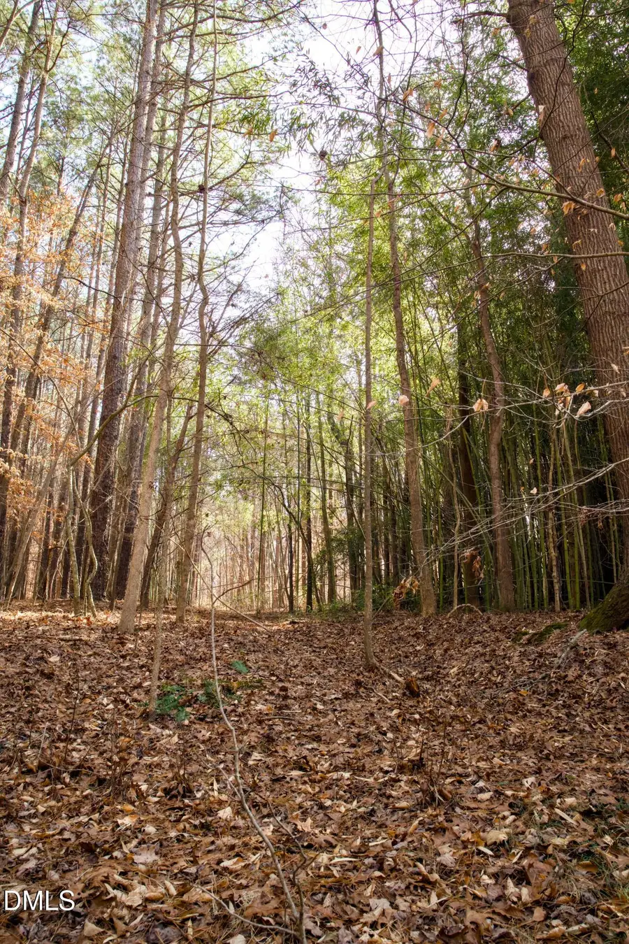 7023 Southern Trail, Chapel Hill, NC 27516 - #2