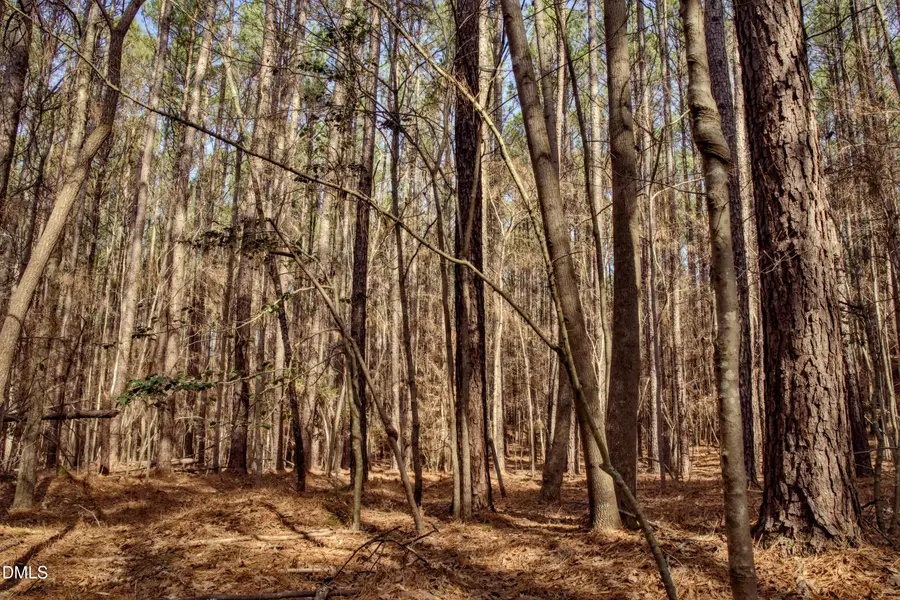 7023 Southern Trail, Chapel Hill, NC 27516 - #3