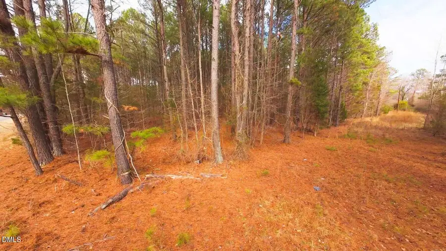 0 Mount Olivet Church Road, Franklinton, NC 27525 - #3