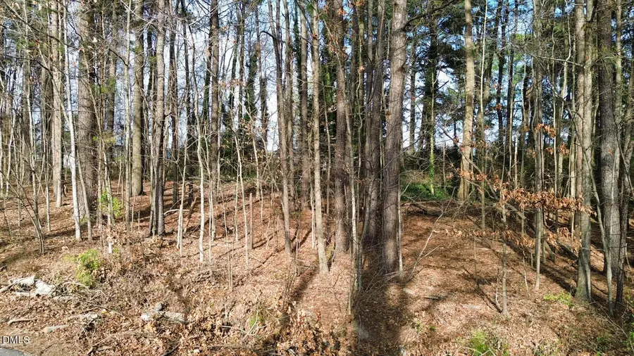 7608 Valview Street, Raleigh, NC 27613 - #2