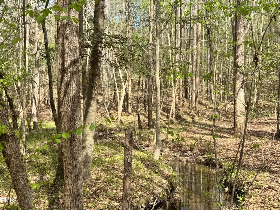 0 Westerman Place, Smithfield, NC 27577 - #2