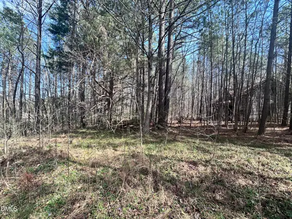 0 Pleasant Hill Church Road, Siler City, NC 27344