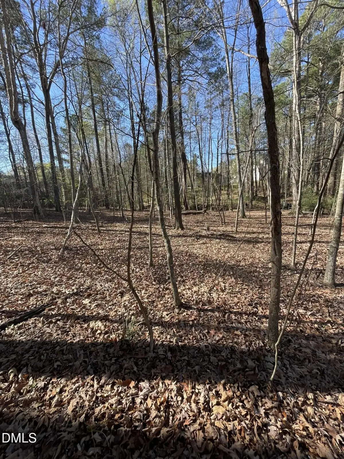 4822 Bay Point Drive, Durham, NC 27713 - #1