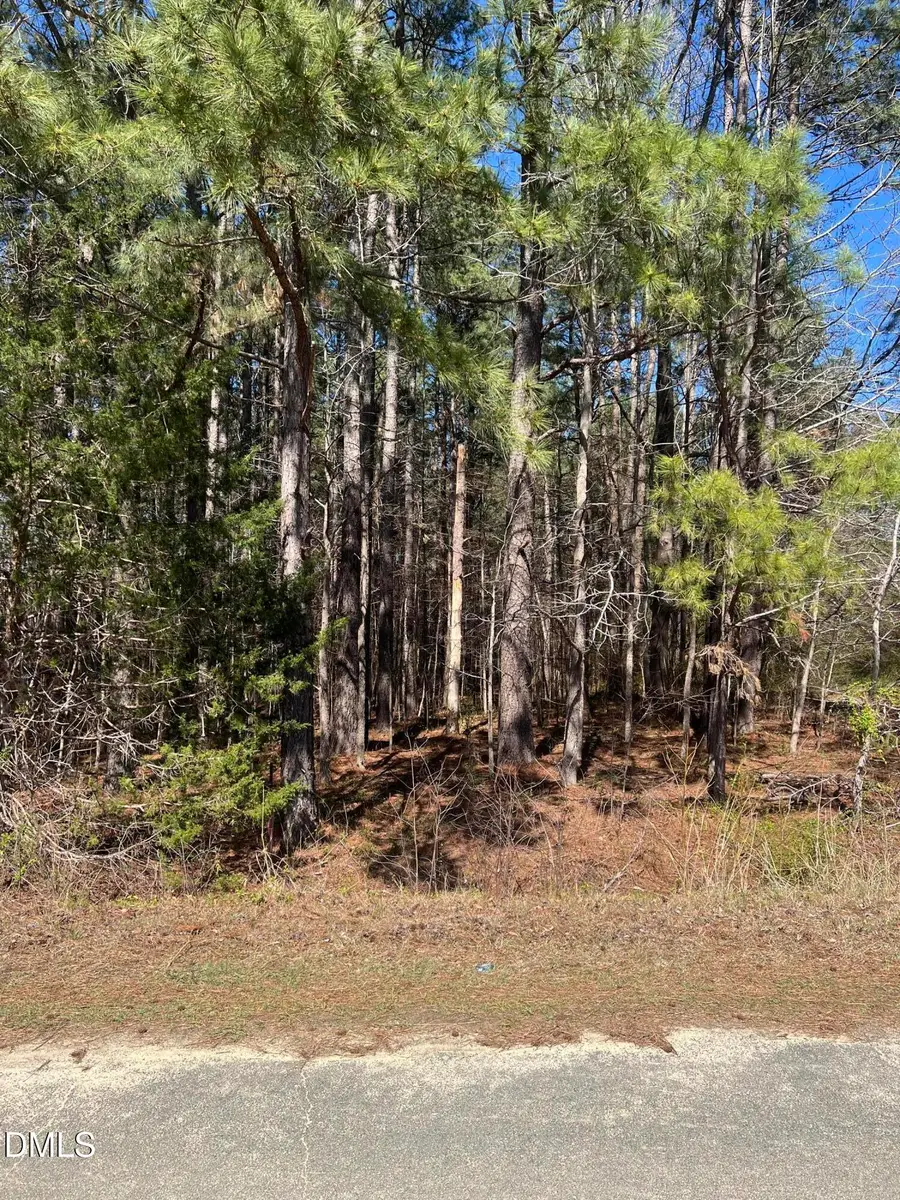 299 Hodges Road, Franklinton, NC 27525 - #2