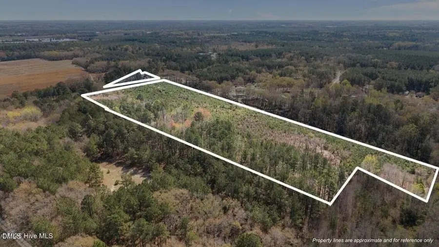 TBD Scholl Road, Hamlet, NC 28345 - #2