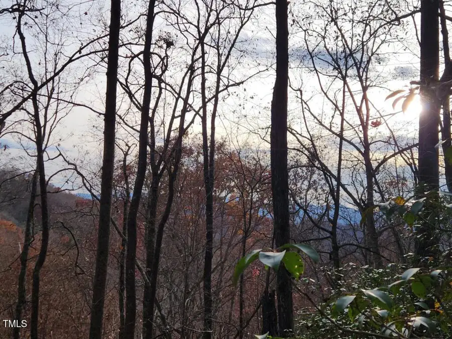 0 Bear Cove Circle, Bryson City, NC 28713 - #2