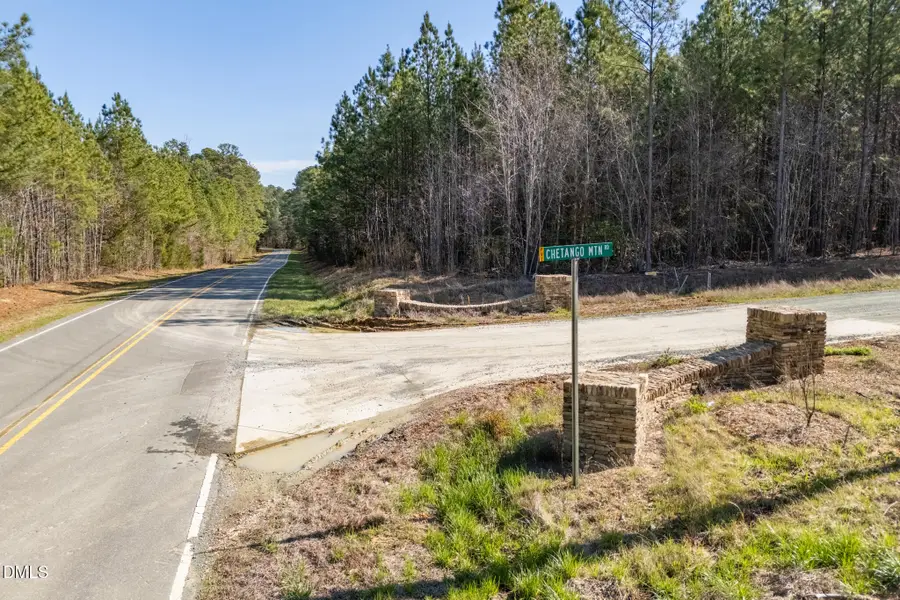 46 Chetango Mountain Road, Chapel Hill, NC 27516 - #2