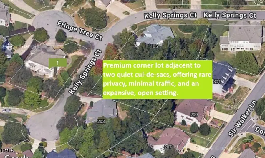 101 Fringe Tree Court, Cary, NC 27519 - #3