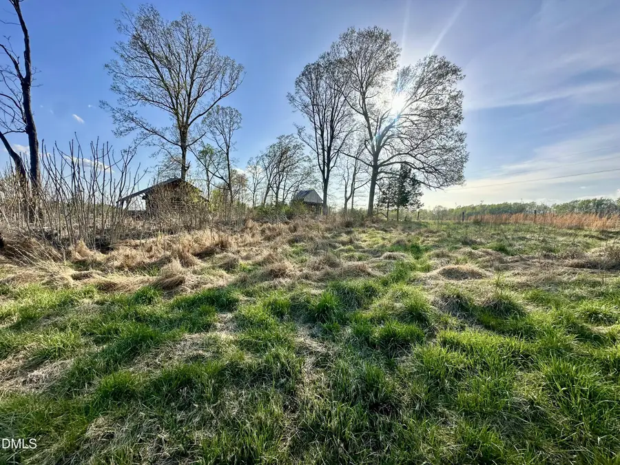 4.62 Acres Jones Road, Hurdle Mills, NC 27541 - #3