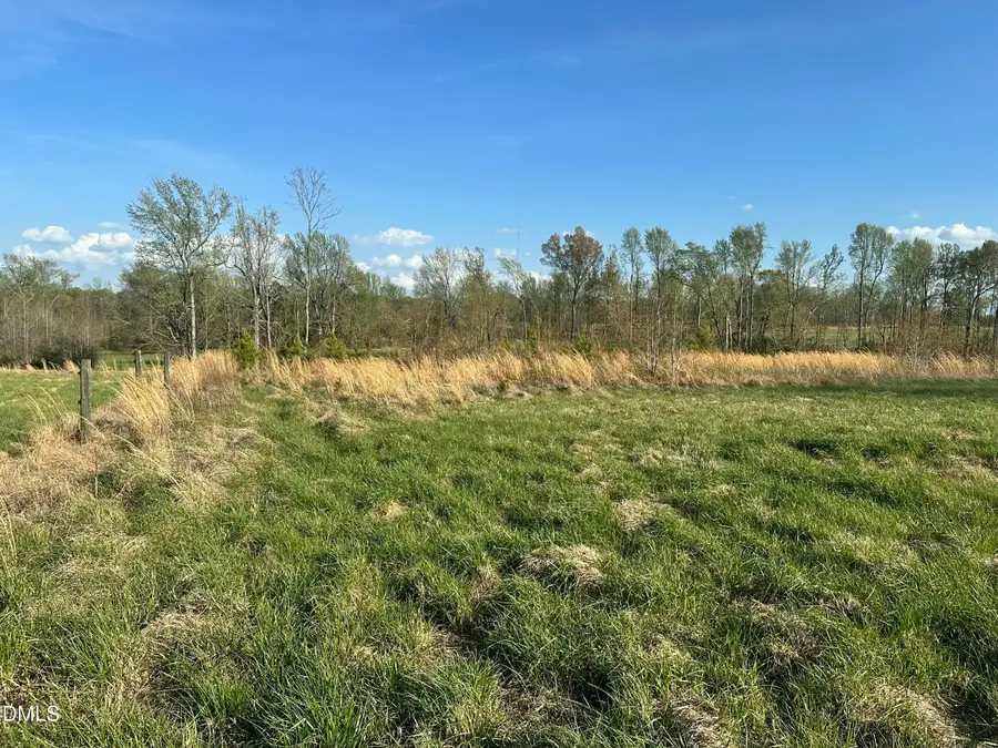 7.28 Acres Jones Road, Hurdle Mills, NC 27541 - #3