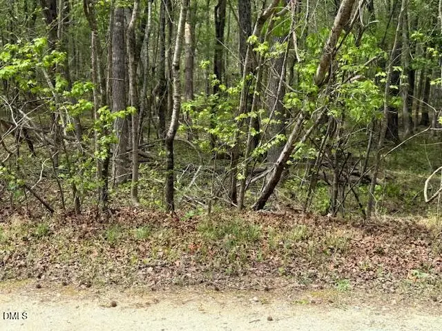 6416 Coltsfoot Drive, Rougemont, NC 27572 - #1