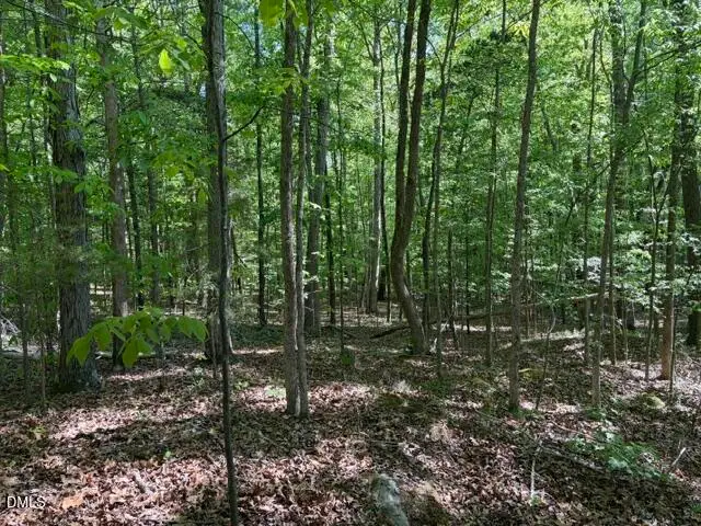 0 Bethel South Fork Road, Graham, NC 27253 - #2