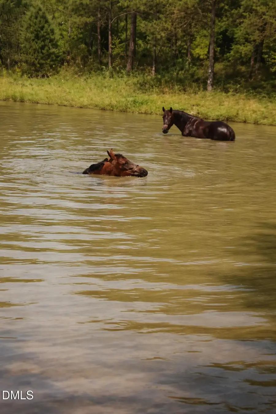 5950 Union Ridge Road, Burlington, NC 27217 - #2