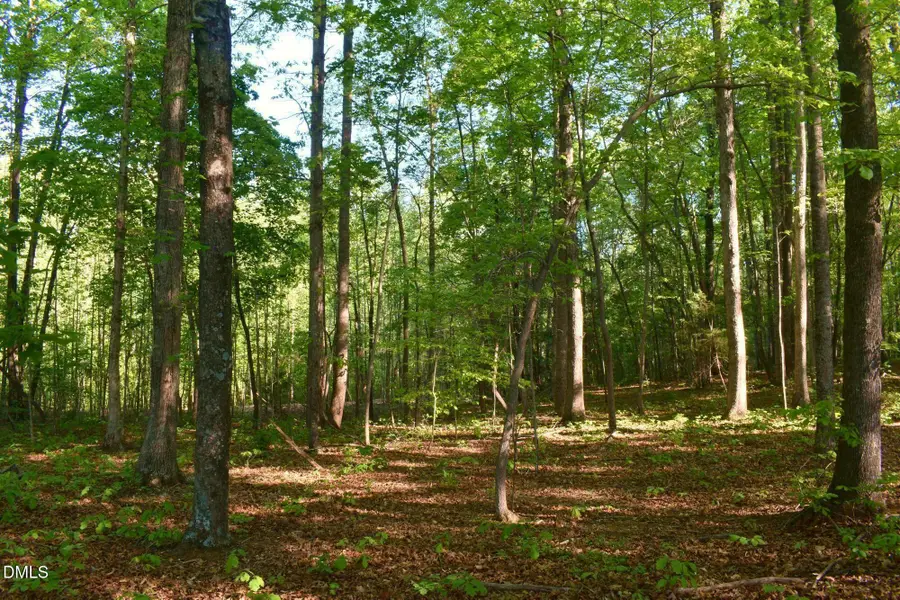 0 Hodges Dairy Road, Yanceyville, NC 27379 - #3