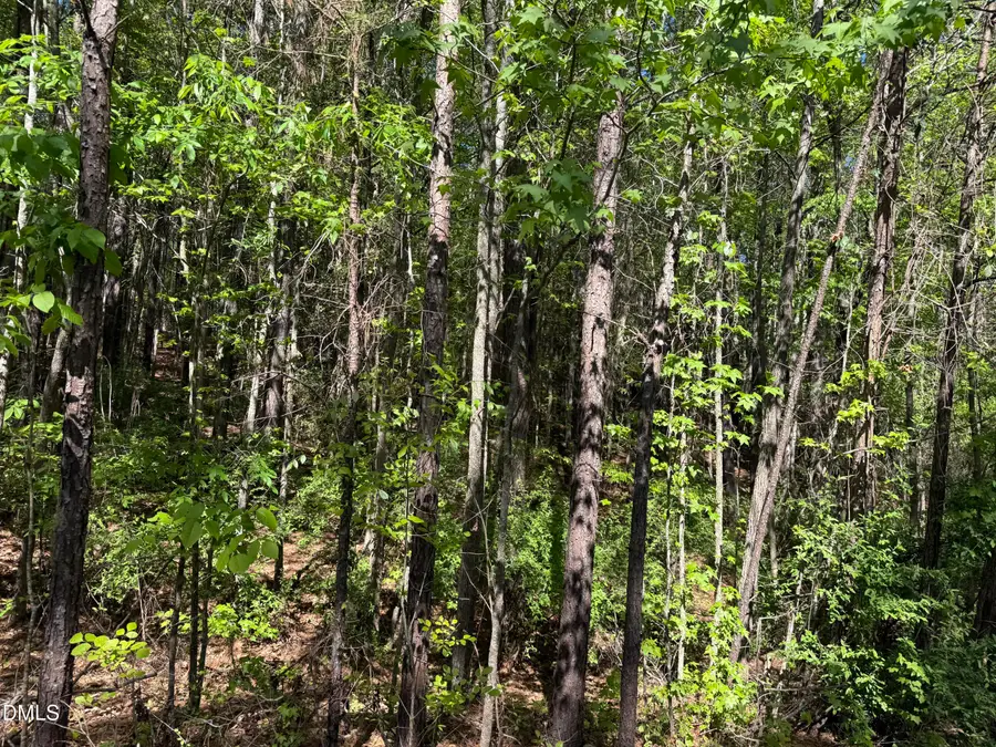 122 Timberline Drive, Pittsboro, NC 27312 - #3