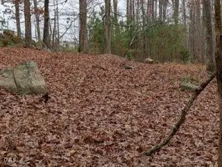 1416 Jack Bennett Road, Chapel Hill, NC 27517