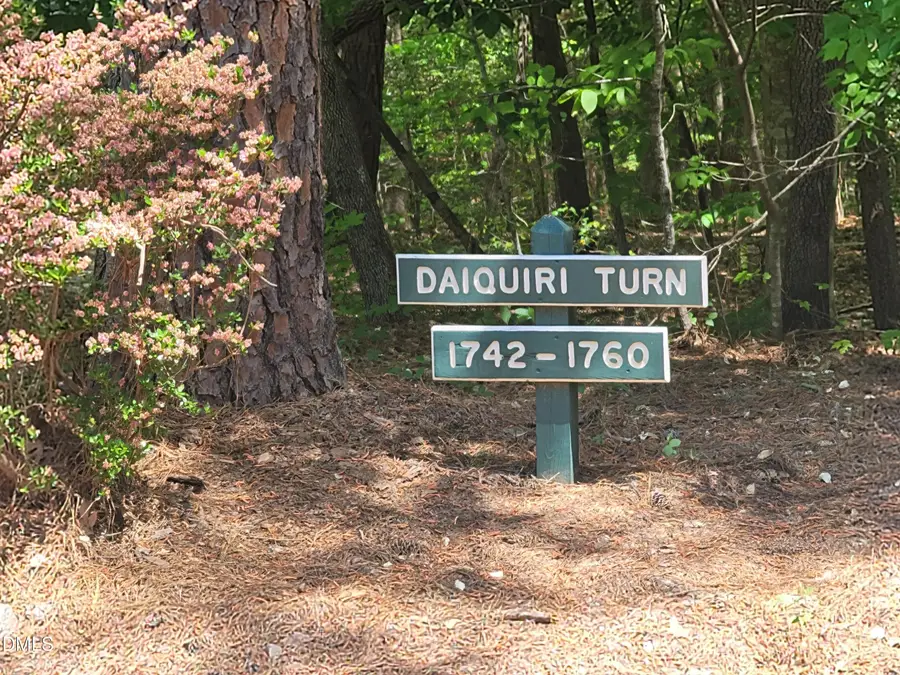 1749 Daiquiri Turn, Sanford, NC 27332 - #2