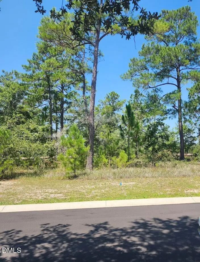 551 Glitter Bay Court, Shallotte, NC 28470 - #2