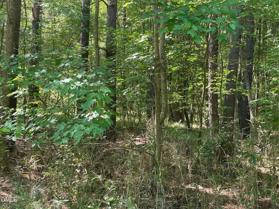 0 Landmark Road N, Willow Spring, NC 27592 - #2