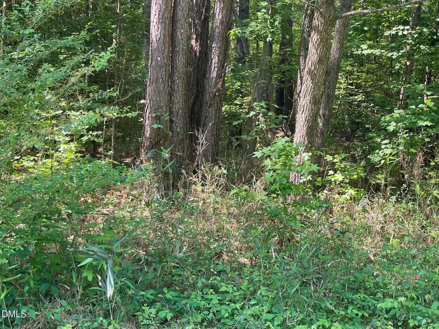 0 Landmark Road N, Willow Spring, NC 27592 - #3