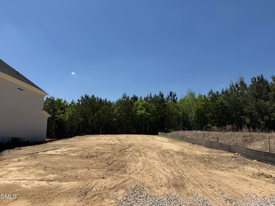 917 Diana Victoria Court, Wendell, NC 27591 - #3