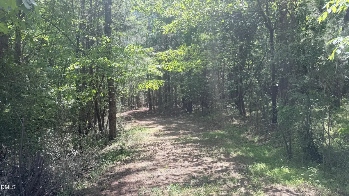 1683 Buckner Clark Road, Pittsboro, NC 27312 - #1