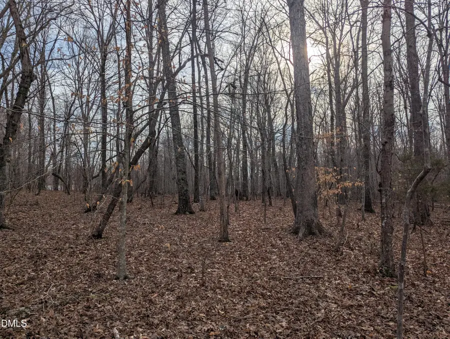 0 Dirgie Mine Road, Roxboro, NC 27574 - #2