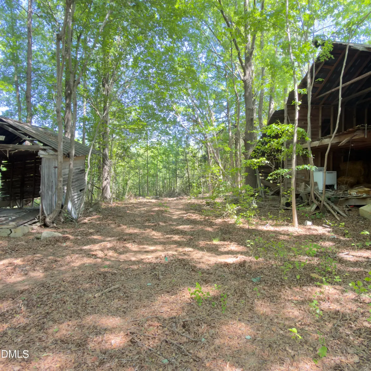 03 New Creech Road, Selma, NC 27576 - #1