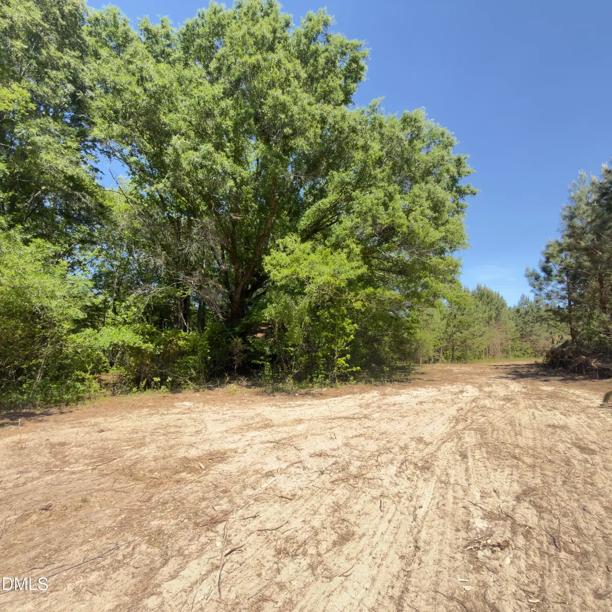 Lot 4 New Creech Road, Selma, NC 27576 - #1