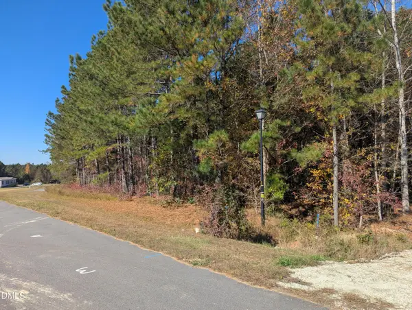 0 Sandy Plains Lane, Warrenton, NC 27589