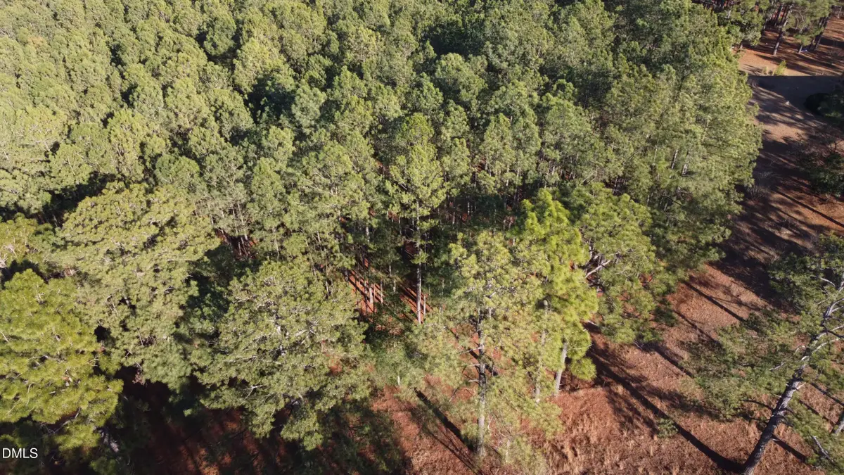 461 Docs Road, Lillington, NC 27546 - #1