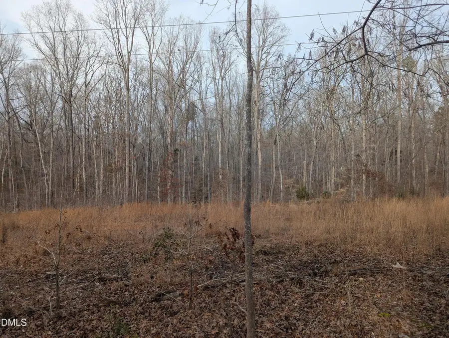 00 Dirgie Mine Road, Roxboro, NC 27574 - #3